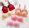 Padded Bra in Multi Colors – Comfortable & Stylish Everyday Lingerie (10027)