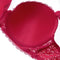 Lace Push-Up Bra for Women – Curvy Signature Design for Ultimate Support and Style (10010)